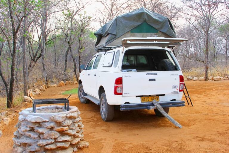 Tonneau Cover vs. Canopy: Which One is Better?