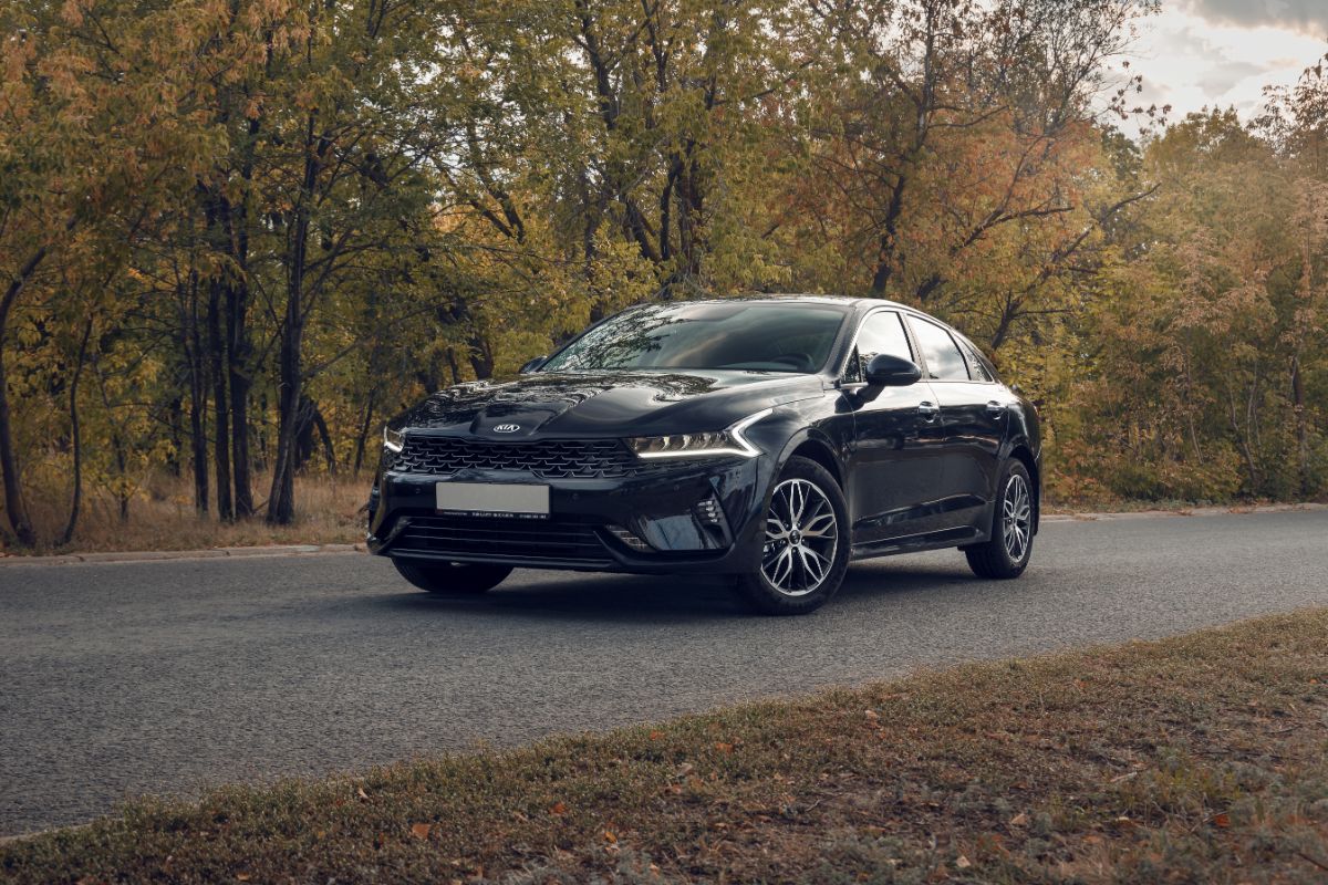 A photo of black kia k5 in the autumn forests.