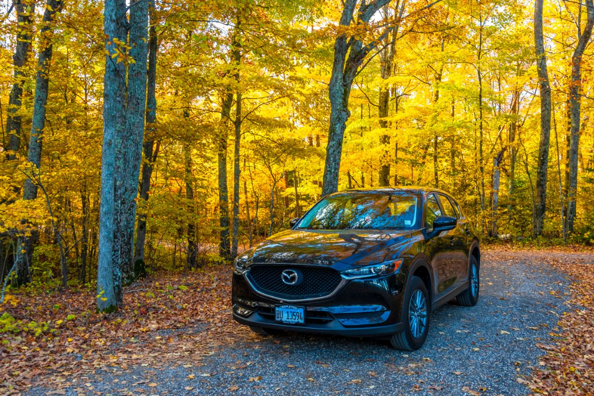 Front view photo of black mazda cx 5 driving in the forests autumn season.