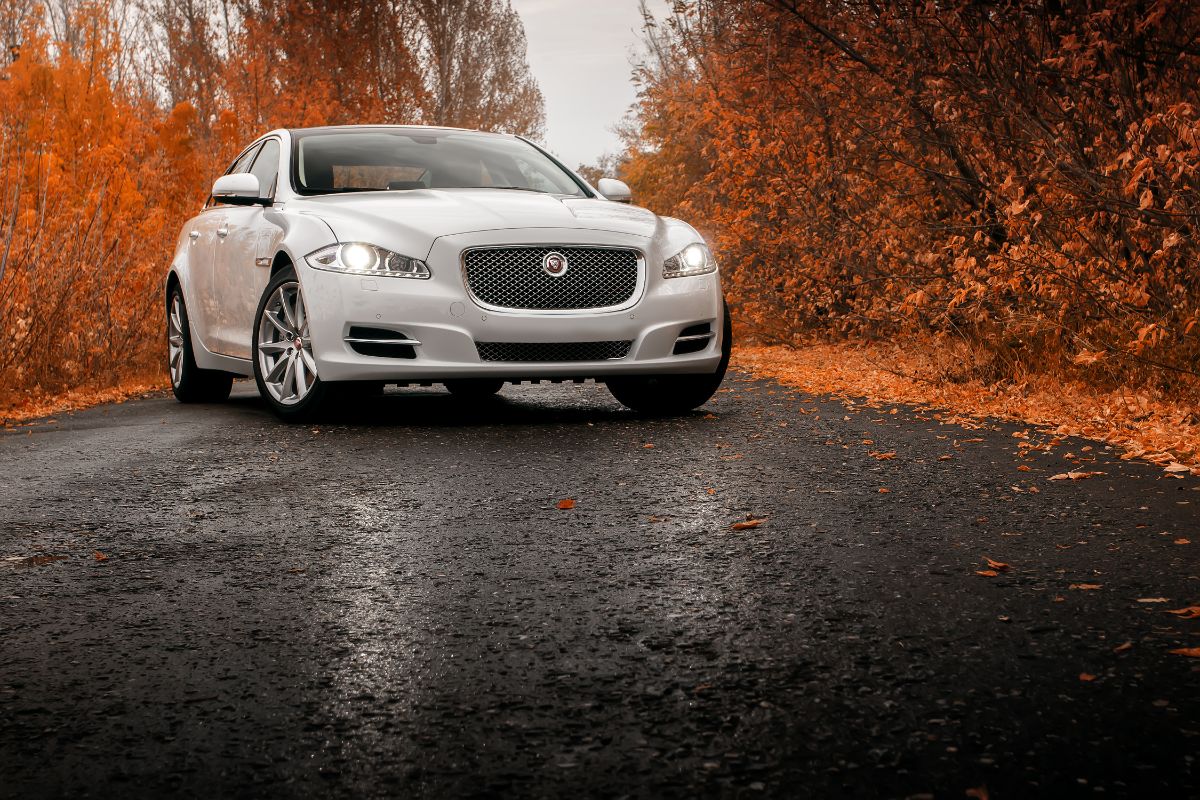 White luxury Jaguar XJ car stays on wet asphalt road at autumn.