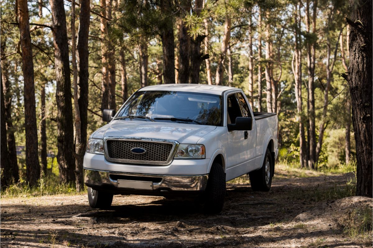 Front view of a white pickup truck amid a pine-filled woodland in the fall.