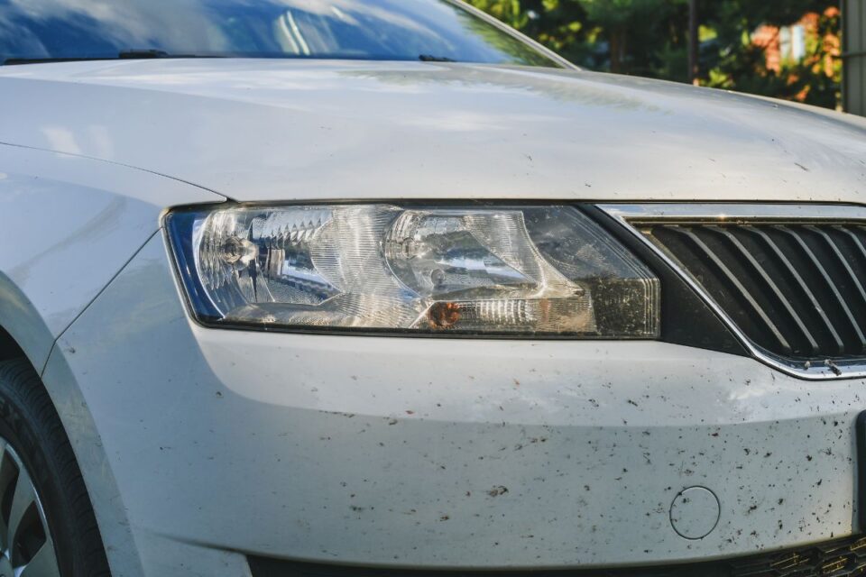 Does WD40 Damage Car Paint? Jalopy Talk