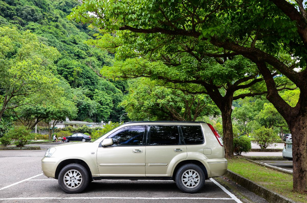 A car parked under the tree.