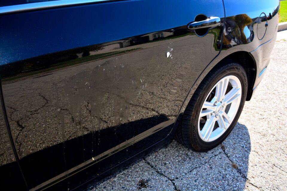 Does Egg Ruin Car Paint? Jalopy Talk