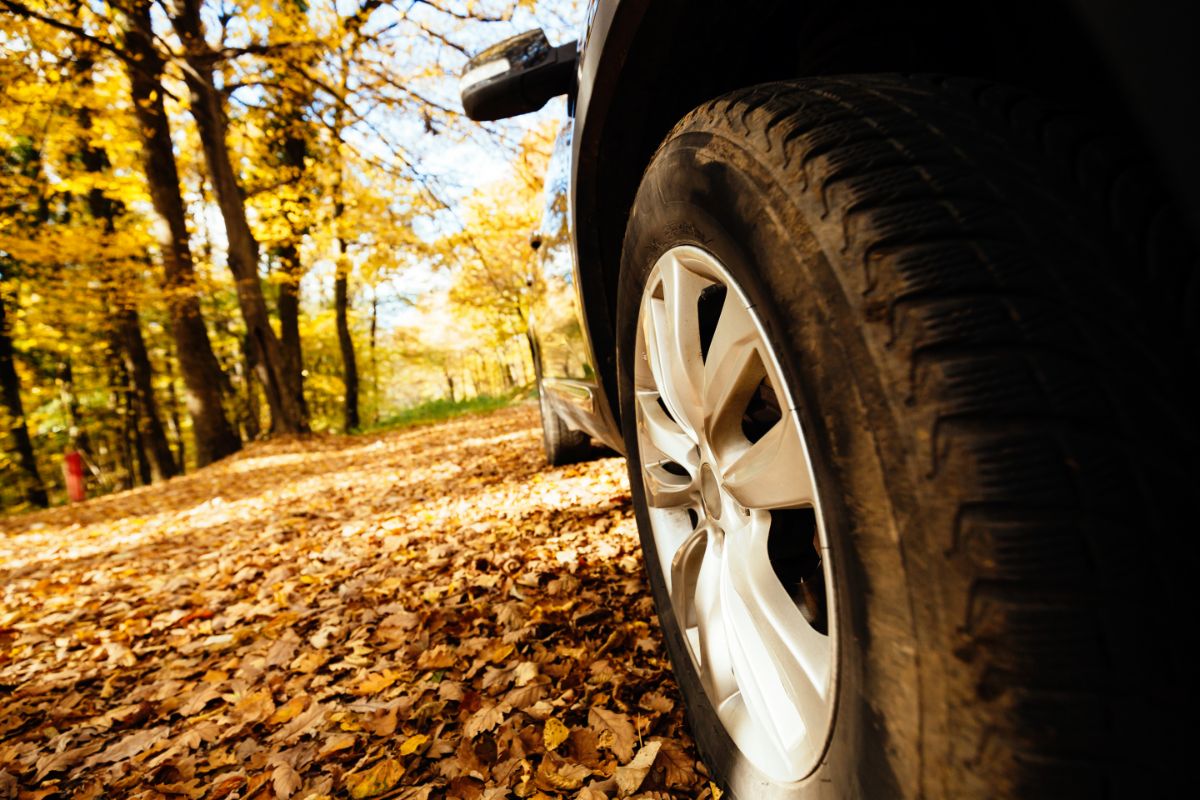 Close-up of a car's off-road tires that have been installed.