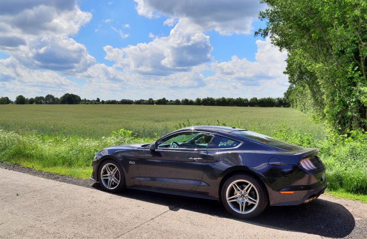 On a lovely summer day, a black sports automobile is seen in front of a landscape in northern Germany.