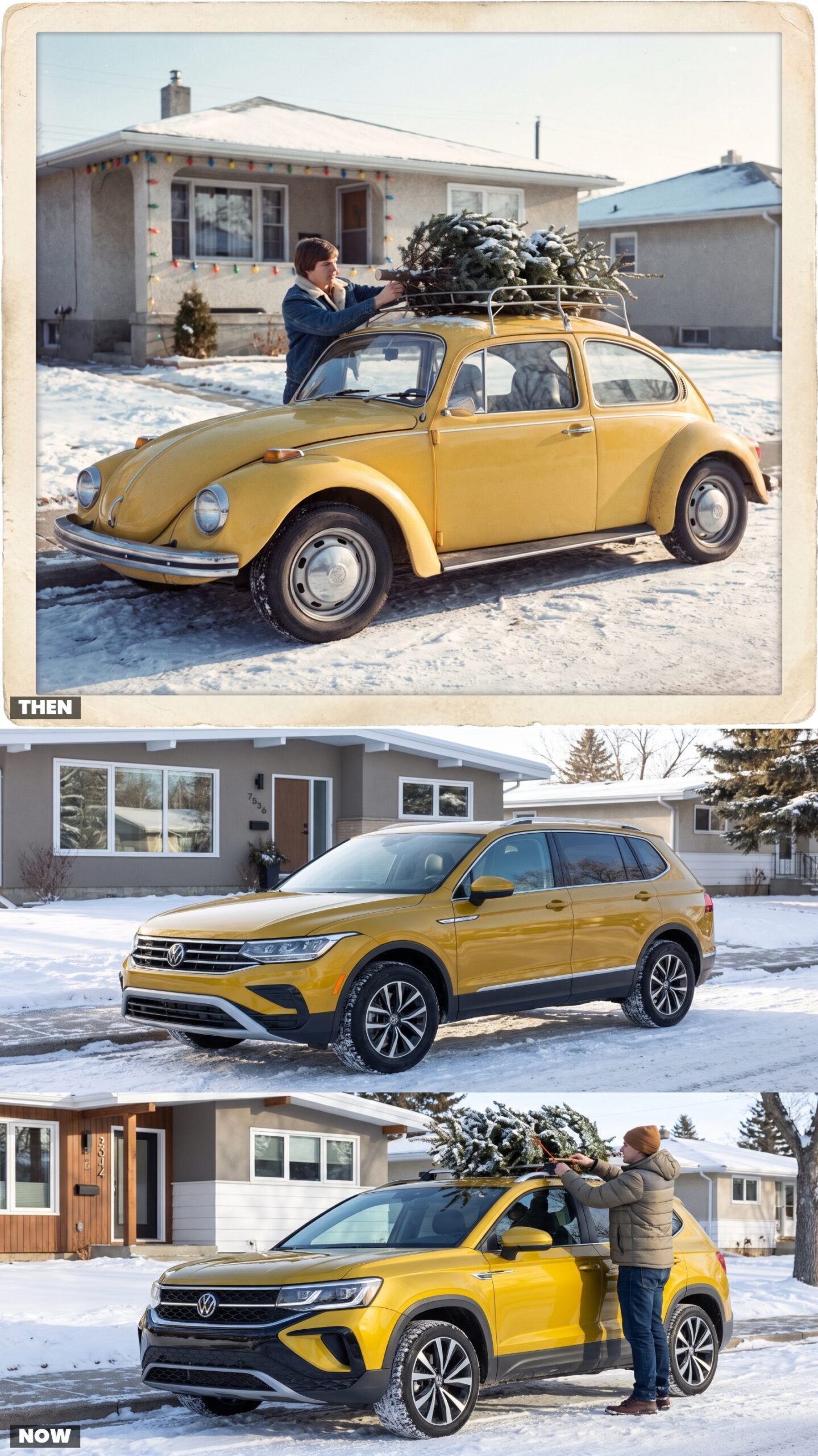 Volkswagen Super Beetle vs. Volkswagen Taos
