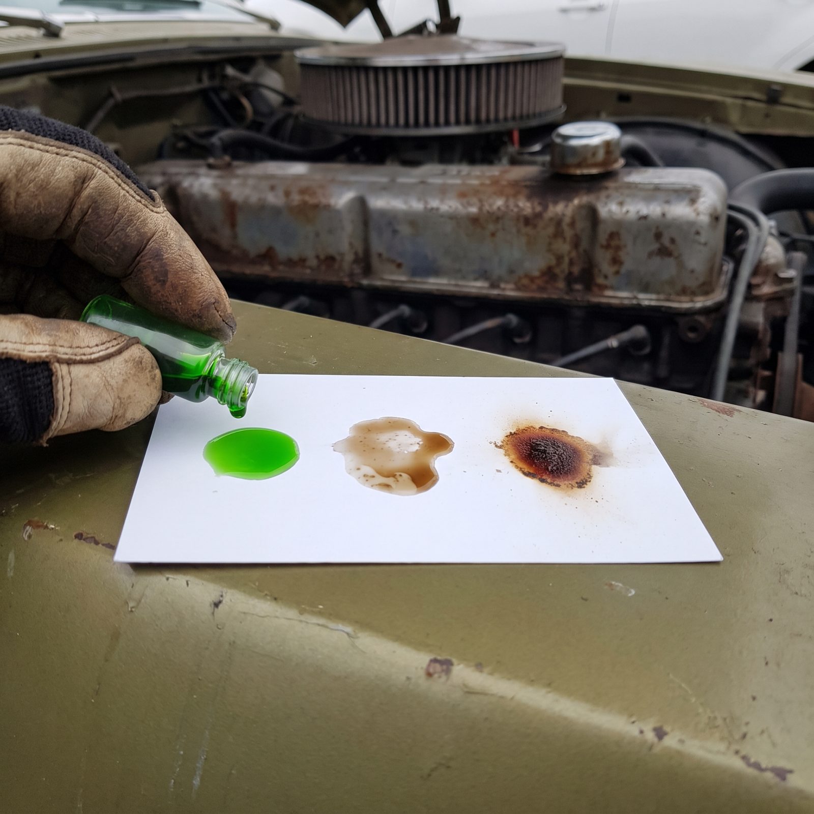 Blot Every Fluid on White Cardstock to Expose Contamination
