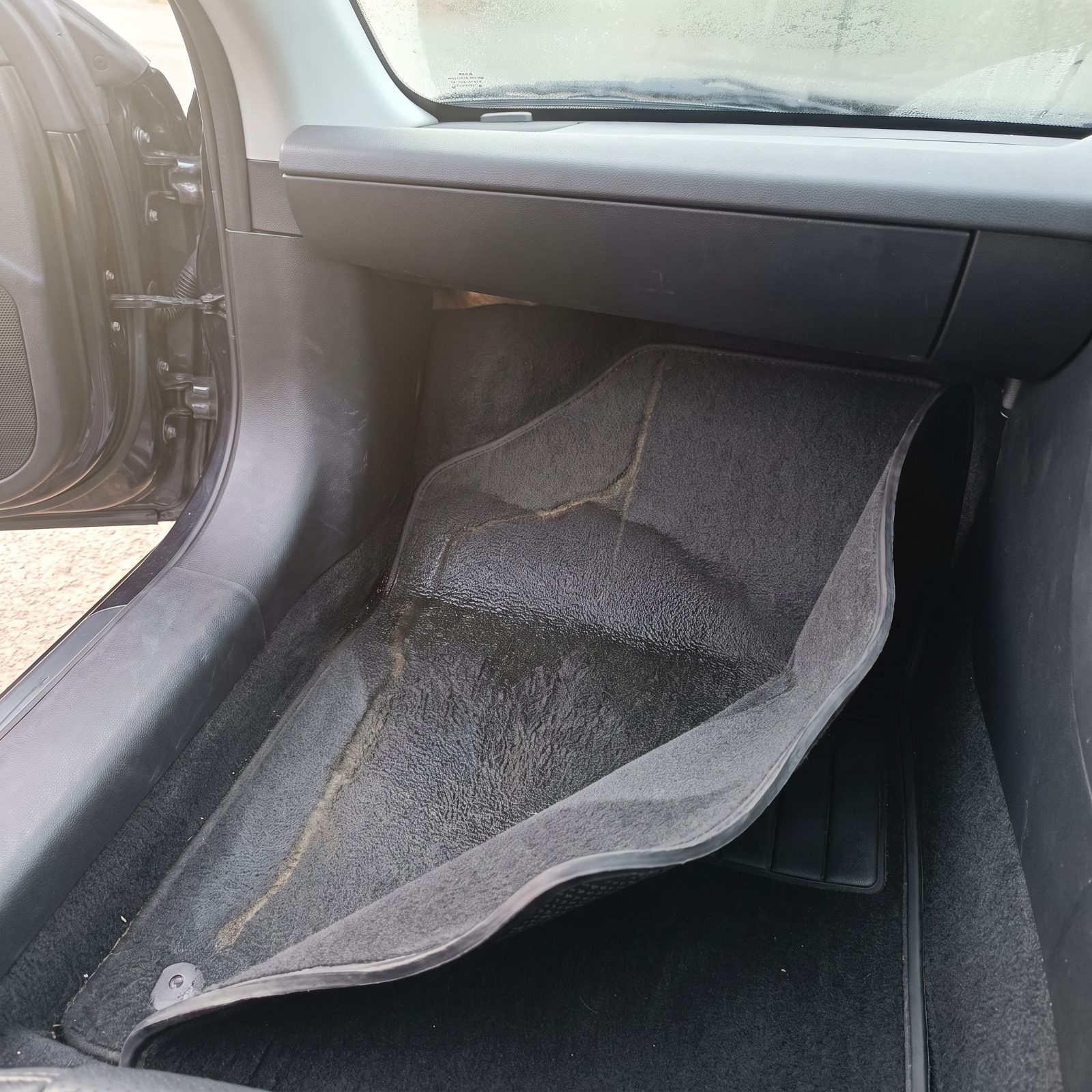 Damp Carpet With No Spill in Sight Means a Leak You Can't See Yet