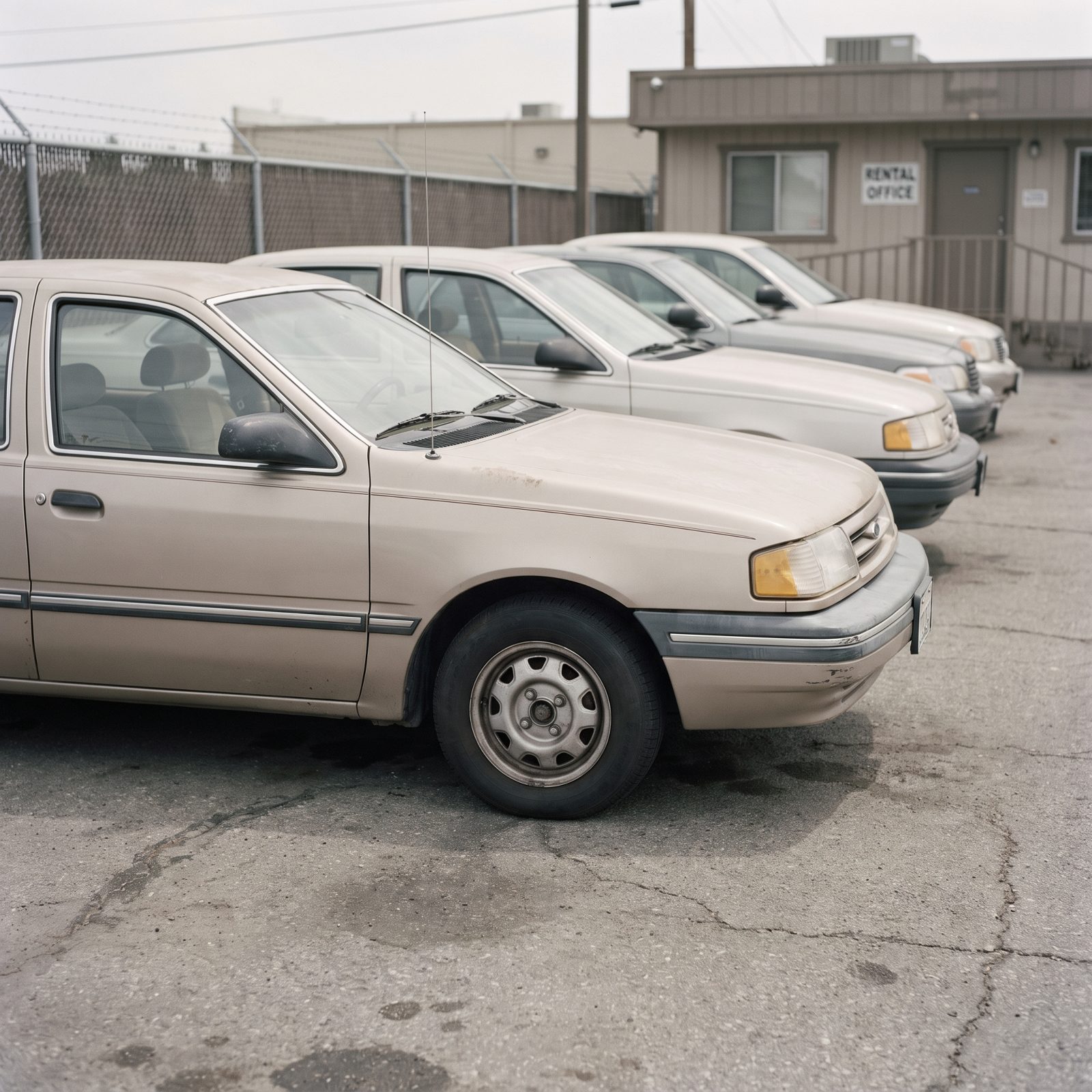 Ford Tempo: Disposable Ubiquity Left Few Survivors