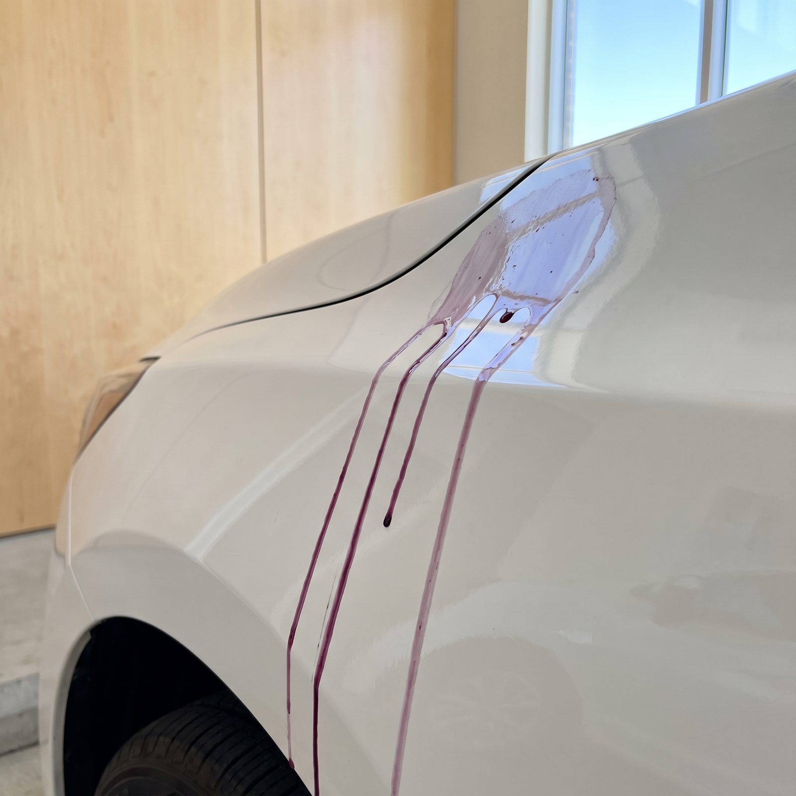 Letting Iron Remover Dry on the Body Panels