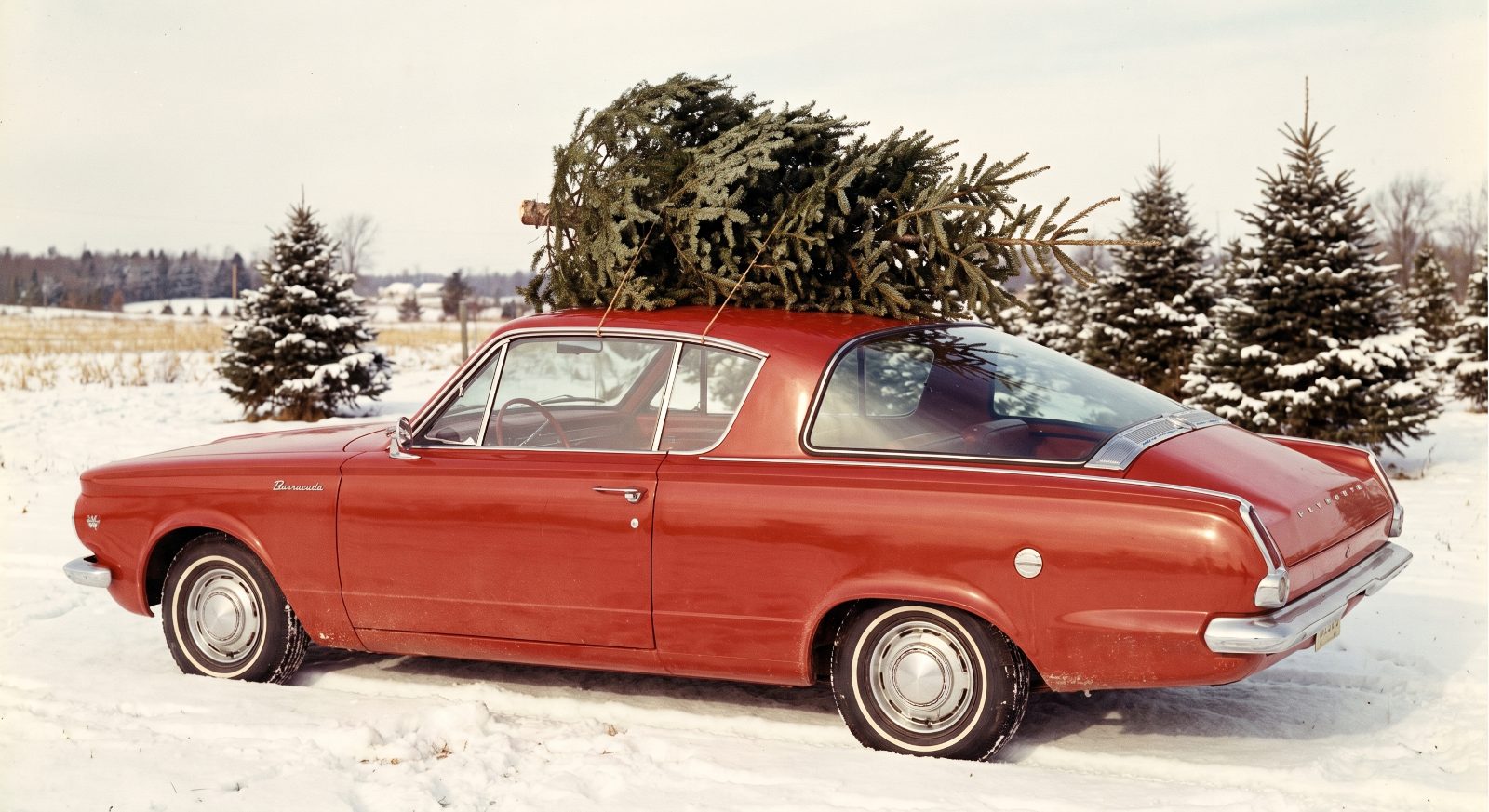 A Plymouth Barracuda Carrying a Fir Above Its Wraparound Rear Glass