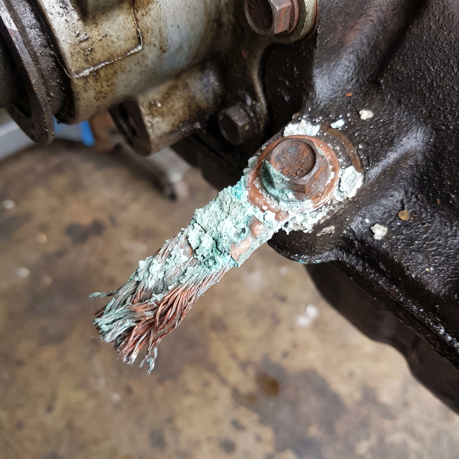 Powdery Green Crust on a Ground Strap Predicts Gremlins to Come