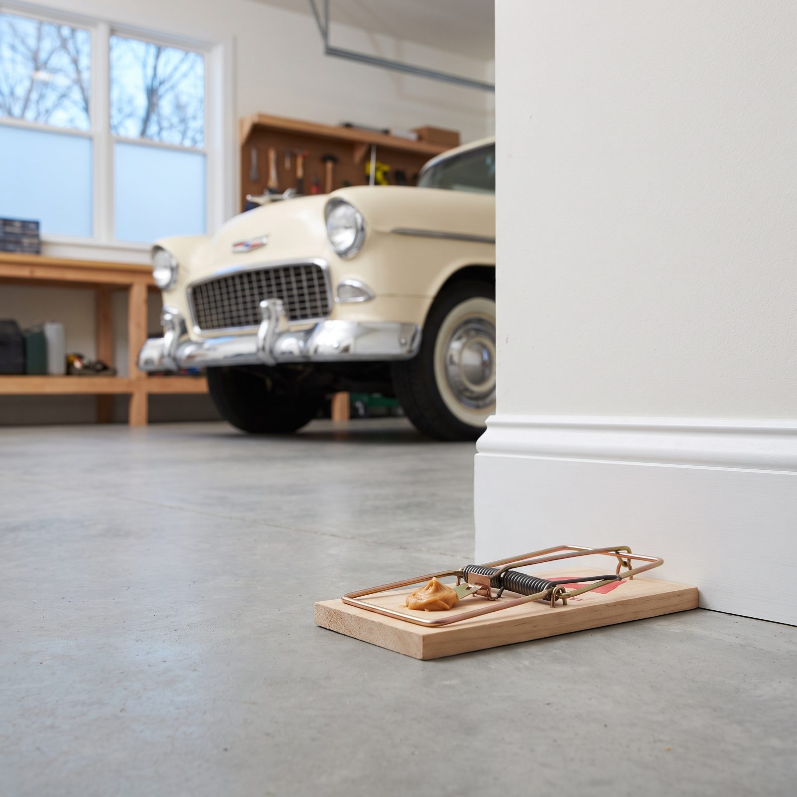 Ring the Storage Area With Mechanical Snap Traps