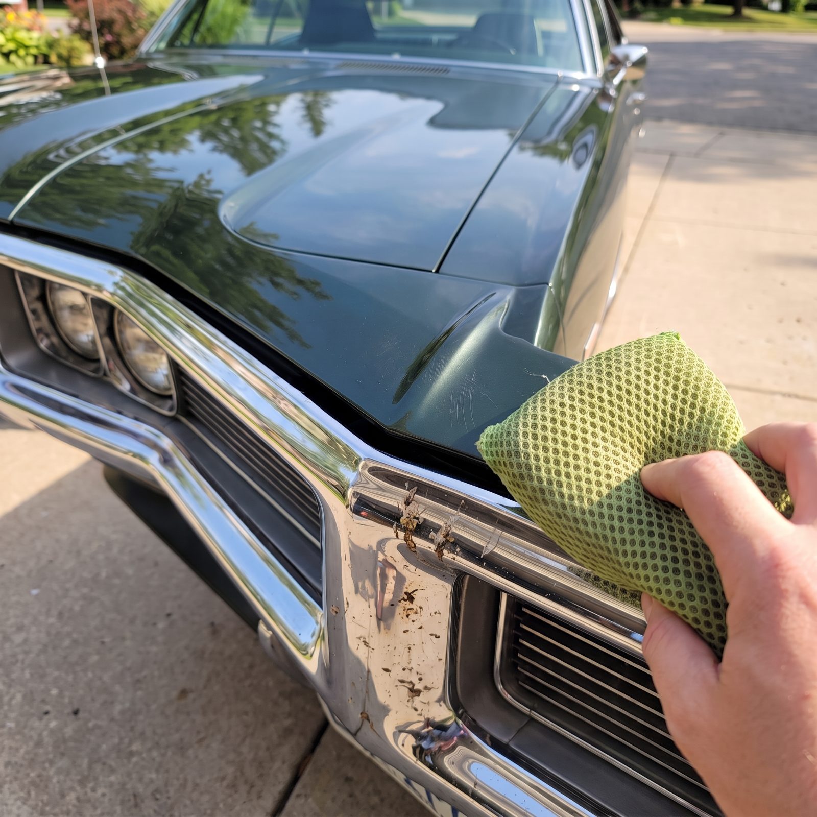 Scrubbing Baked-On Bugs With an Abrasive Mesh Sponge
