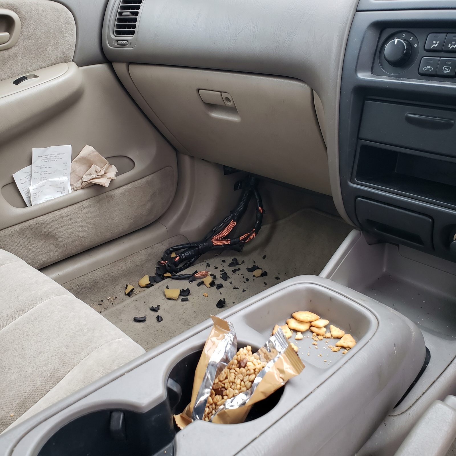 Stop Leaving Snacks in a Parked Car Where Rodents Treat Wiring Like Dinner