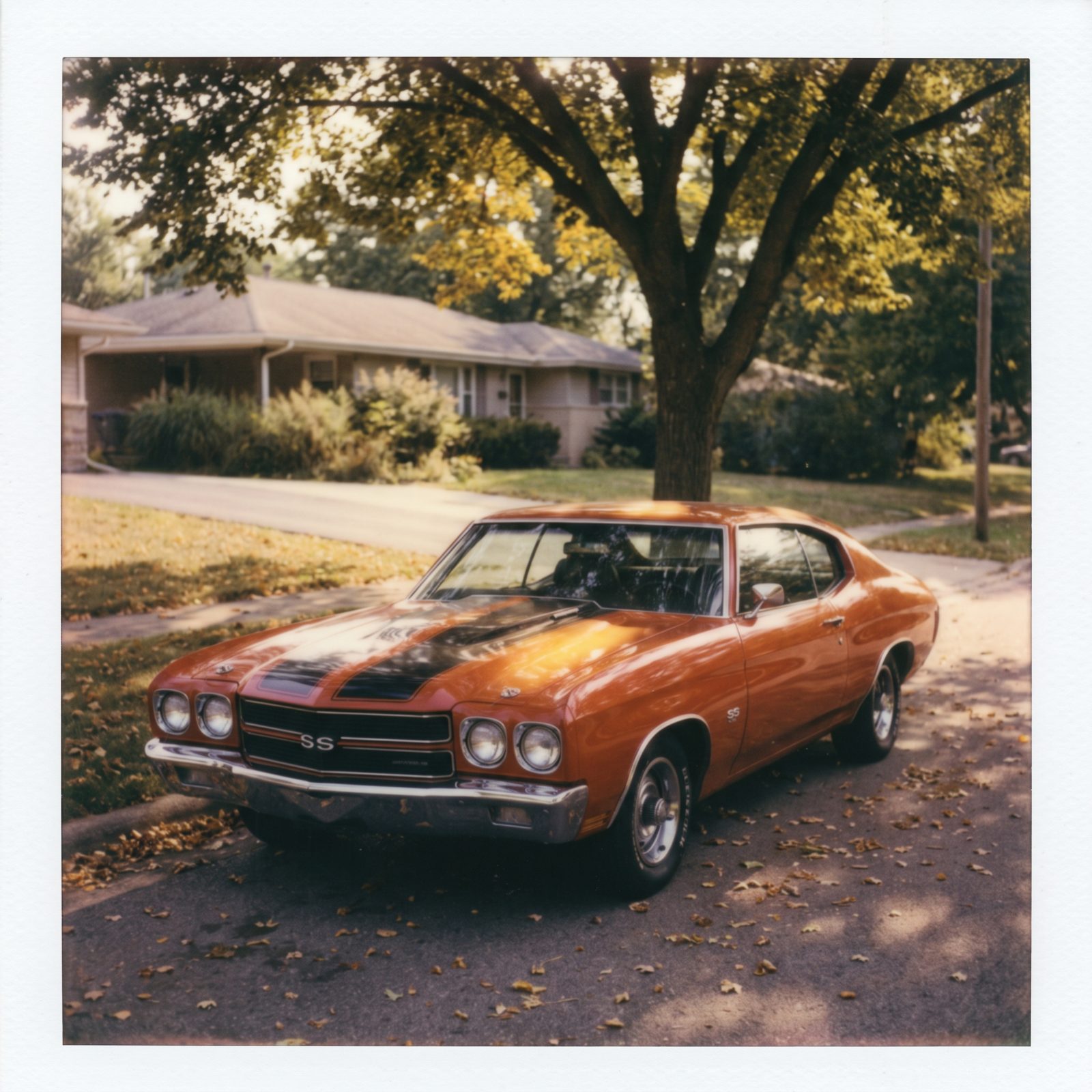 You Compare Every New Car With the One That Got Away